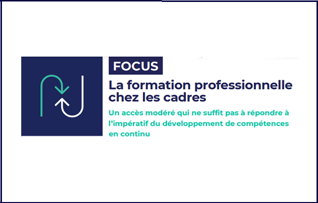 La formation professionnelle chez les cadres
