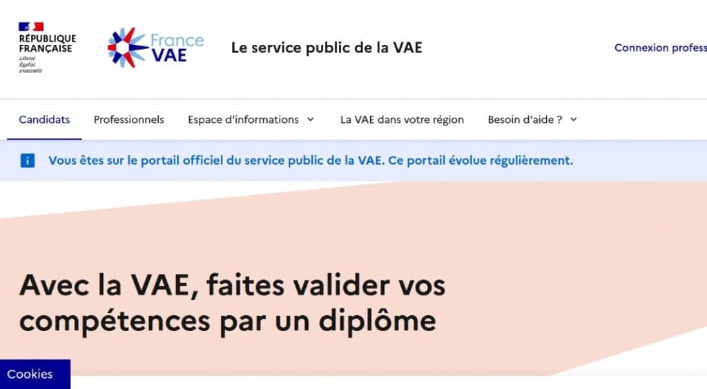 France VAE relance les prises en charge de parcours simplifiés sur un périmètre réduit au champ du "care" - AEF info